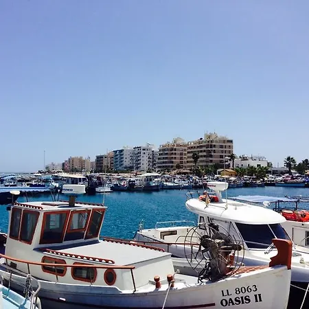 Sunflower Larnaca