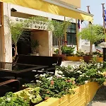 Sunflower Larnaca