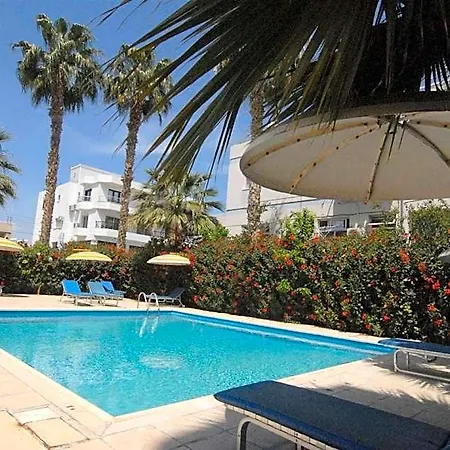 Sunflower Larnaca